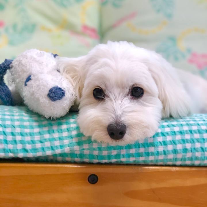 0d78455d a03b 4acf ac1b 3add1a385140 1562727264656