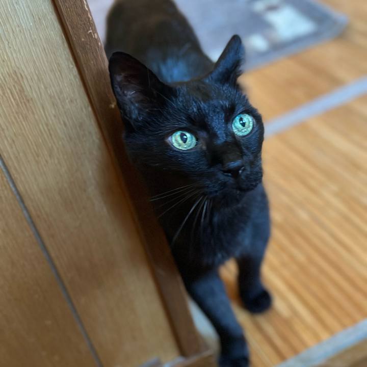 0d78634e e16b 42a3 a244 aae28e7ff028 1691980440868