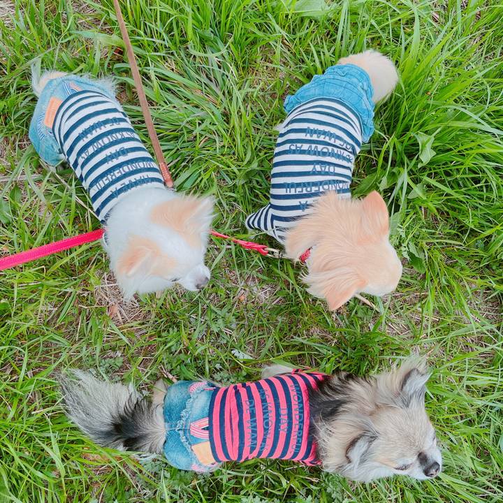 0d7876d7 7d15 4fa8 85cf 1c509d685897 1648862815249