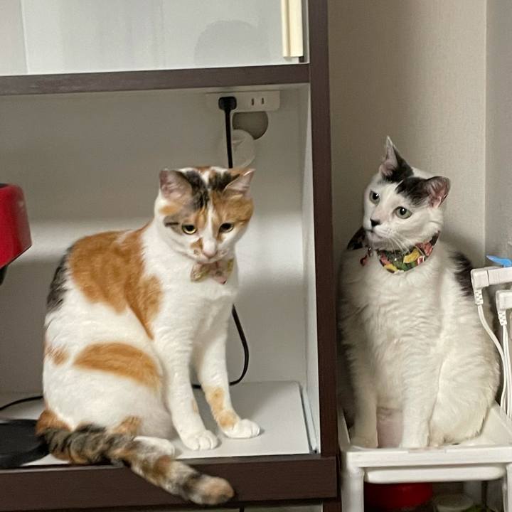 0d787e94 be7e 4c63 939f 27e2c5c2a68c 1627616171800