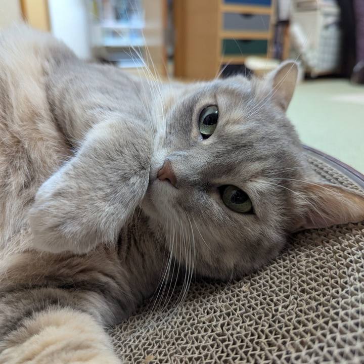 0d789b82 9df7 4e44 905e 829419070486 1763027439977