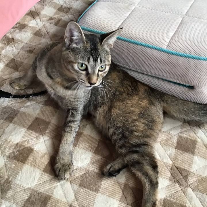 0d78bcd1 2f62 40ba 8266 bfd264f8a392 1573516493557