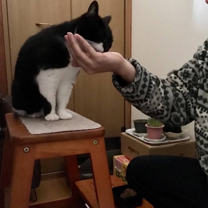 0d78e4c3 cfd7 44de 9e9e c5f8043e591b 1517020766186