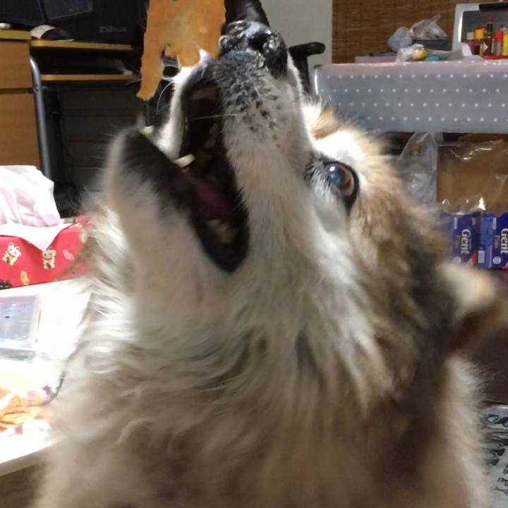 0d78eeb8 95b2 4f55 8171 1714dacd53b3 1563072440676