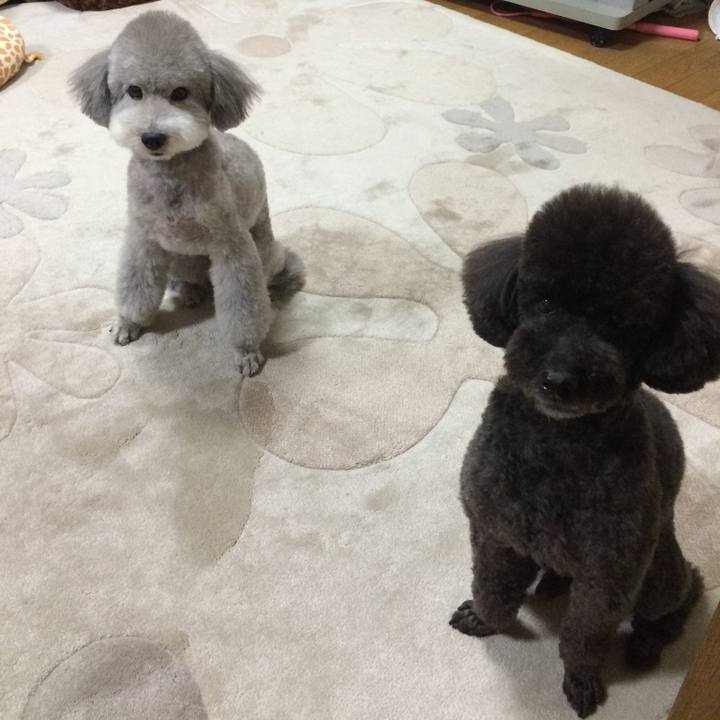 0d793aa0 bbfd 4672 a574 dfddcbc18192 1751848990587