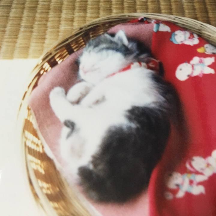 0d794338 6f7e 40e4 8387 5c153c96f620 1523040661235