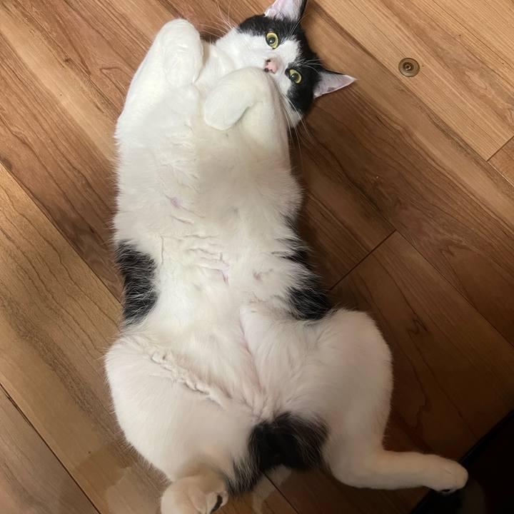 0d794cdc 716e 4320 9965 374e0bdf5726 1651069162765