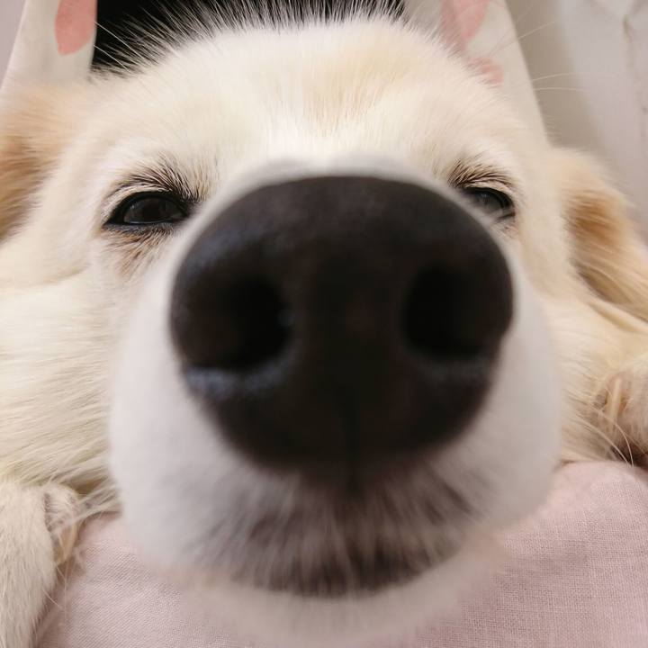 0d79ab66 c841 477c 8737 924dbdcaf3fb 1632376452830