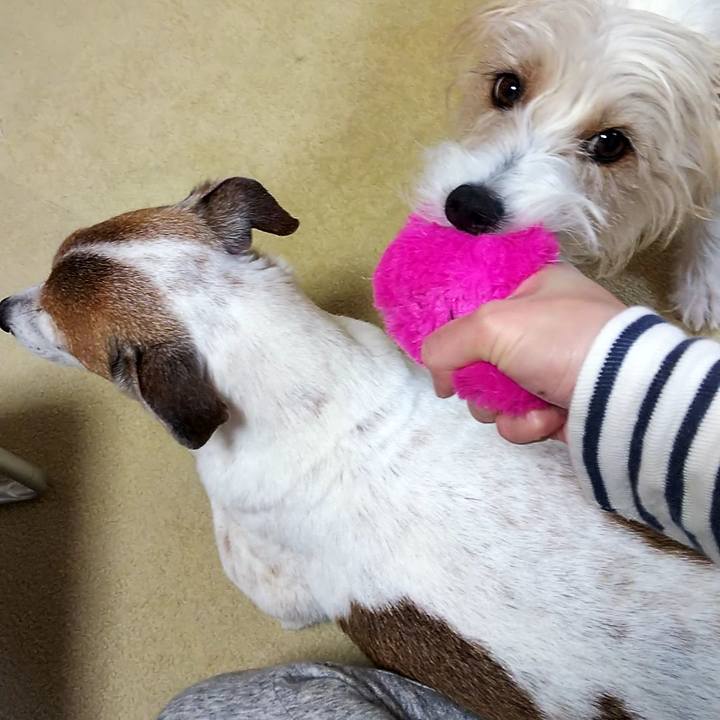 0d79c27b c5c7 4749 9254 81662791b1c0 1551599041346