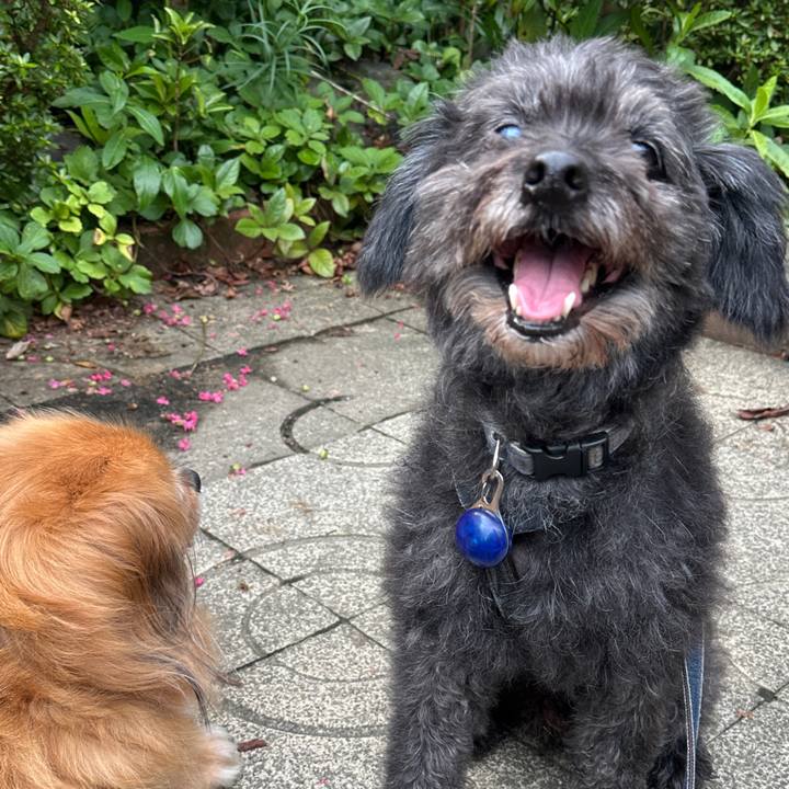 0d79de26 1368 4eb6 b13a e41e3c64598a 1755047080420