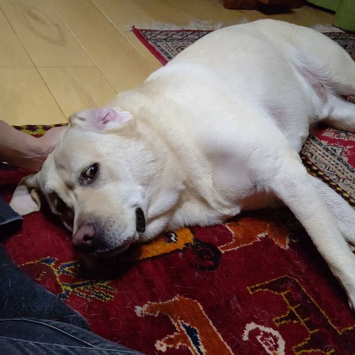 0d79fc67 e50d 4f85 8f82 c87758a07b2c 1600686209635