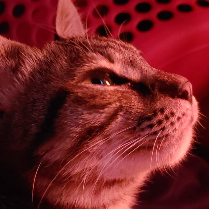 0d7a2c8b 48ac 4311 b2ad 8d4e22e89699 1543008113158