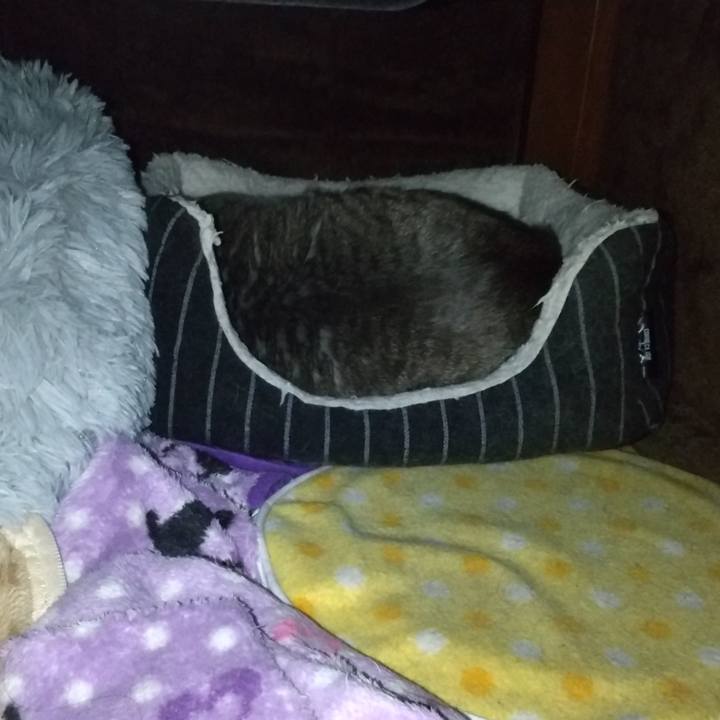 0d7a8887 1262 4c35 a4cf 823b0e723322 1611865571735