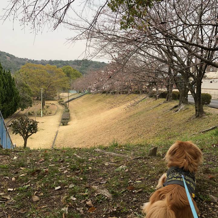 0d7aaf64 54f6 4919 b21c b5de89d187d1 1553909531673