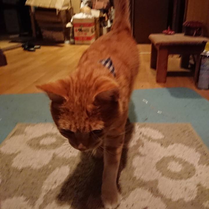 0d7abb7c 05f5 4d3b b7b8 6f9a74de3166 1571217947556