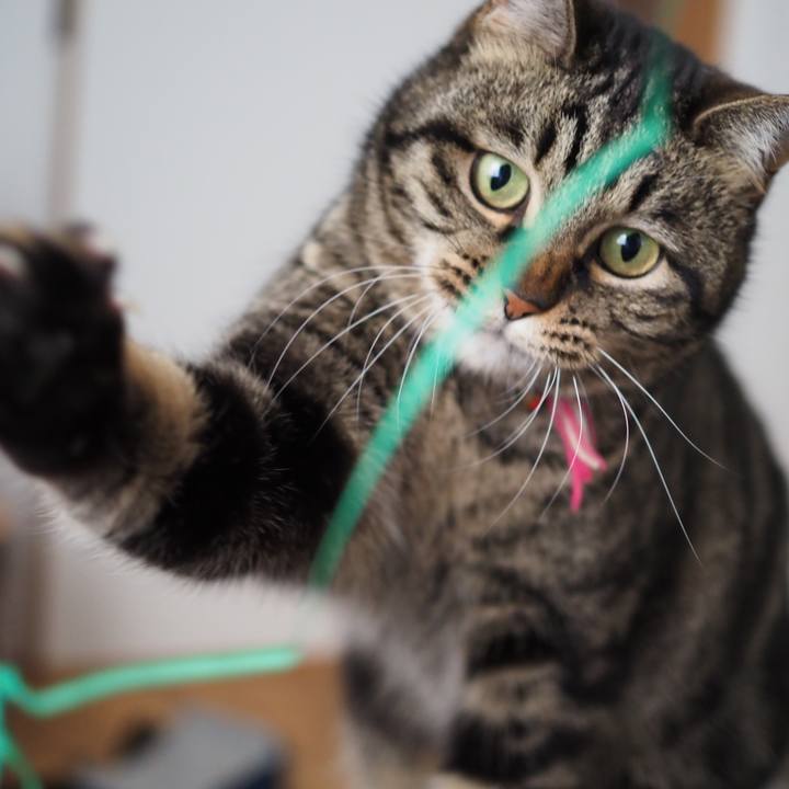 0d7ae595 ef4a 4230 a7c2 40fde34295cf 1644751446251