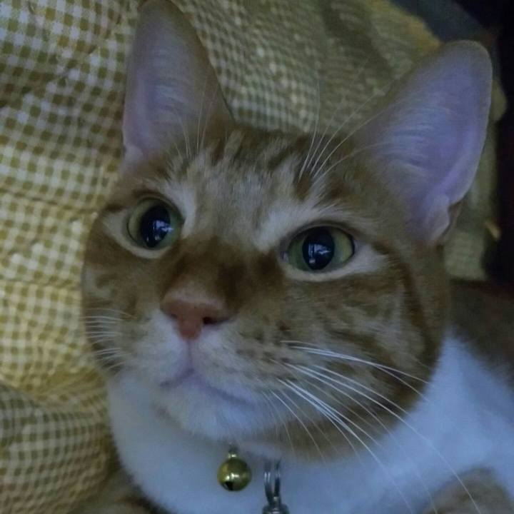 0d7af037 5545 470e 8dc5 c6bbcf4a51b8 1557077936446