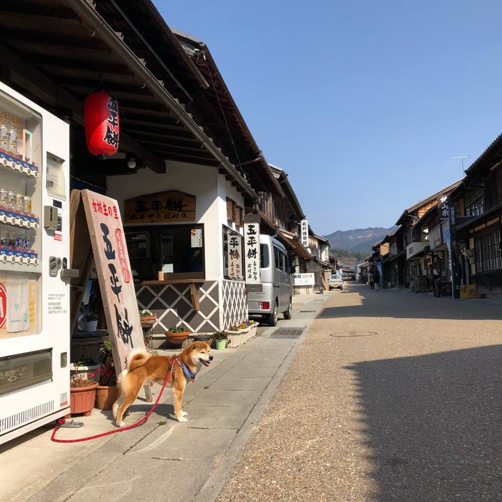 0d7afe86 5e72 4227 b2df fab504d14f9e 1521017051139