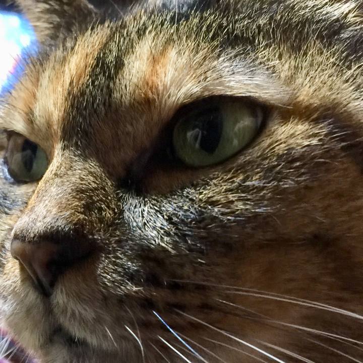 0d7b1ba7 e25c 469d 985f 35cd5ec99906 1564487229715