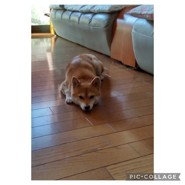 0d7b2297 6f76 4380 abf7 8bcabd8a96b7 1695509286655