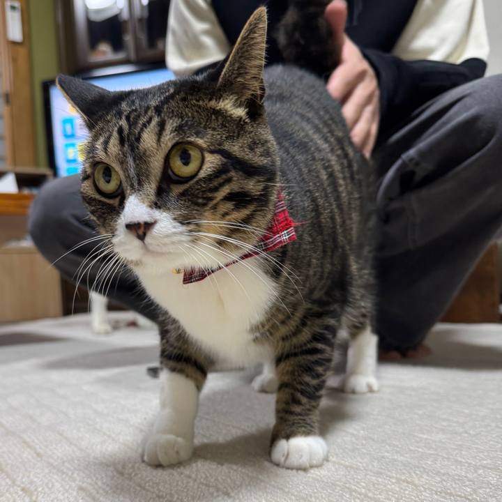 0d7b2b10 5ec2 4d3c 95aa acd705e37066 1745716167068