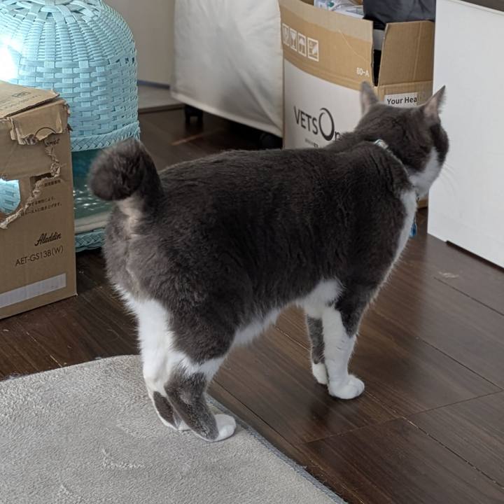 0d7b351b 2bfa 4bf9 ae28 309ad8ddac22 1766717804204