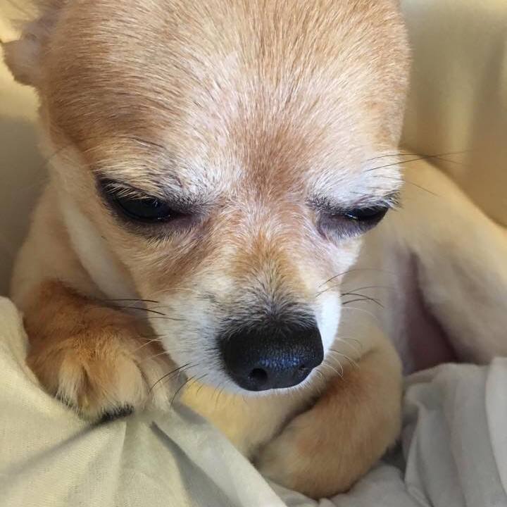 0d7b435f 94c5 42dc b547 989fa04e07df 1533261648486