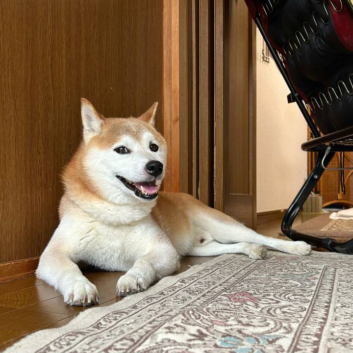 0d7b6023 cebe 41ef a65e 5c3cf25726e3 1723979258549