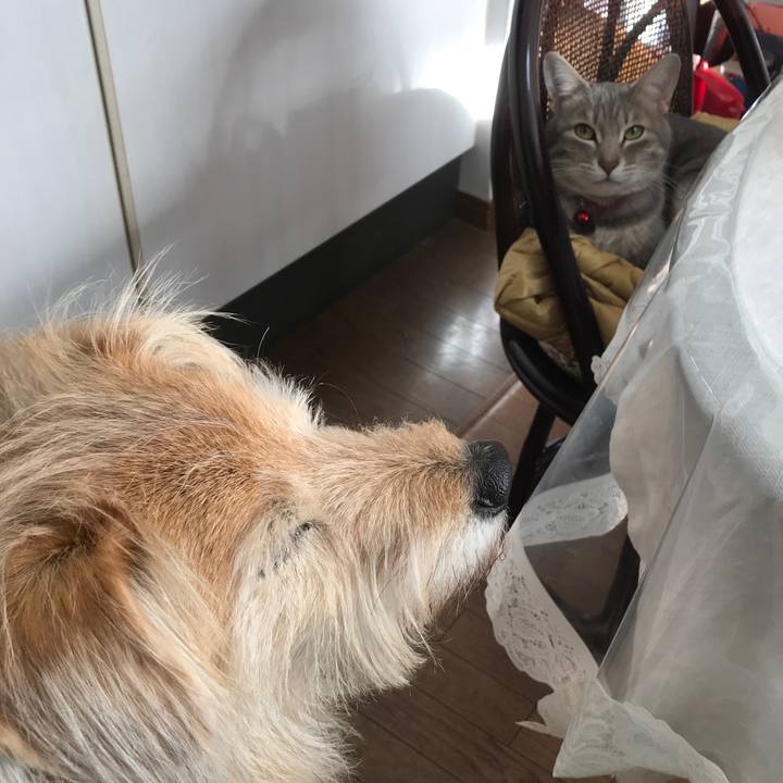 0d7b618d 0a86 4ef5 82e5 edc50edc98b1 1546537204542