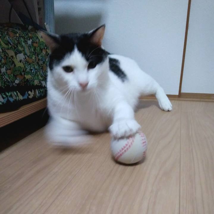 0d7b7c36 f45e 496f 9f0a b49f7d885280 1543492521736