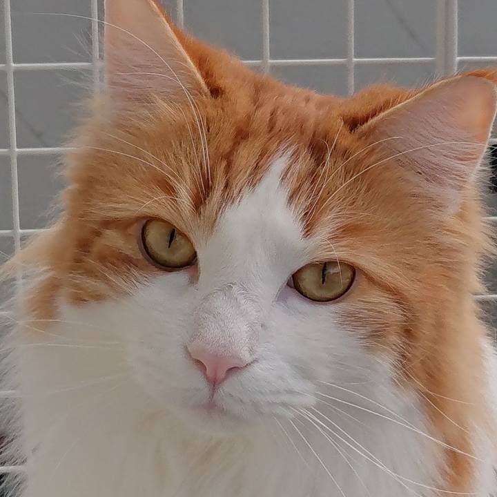 0d7b7d3e 8abf 48a0 b9fe d8306326c39d 1552310653049