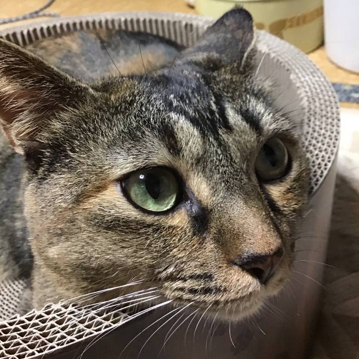 0d7b8e5c 21ed 4f72 94a2 24a08264ad8c 1698138536512