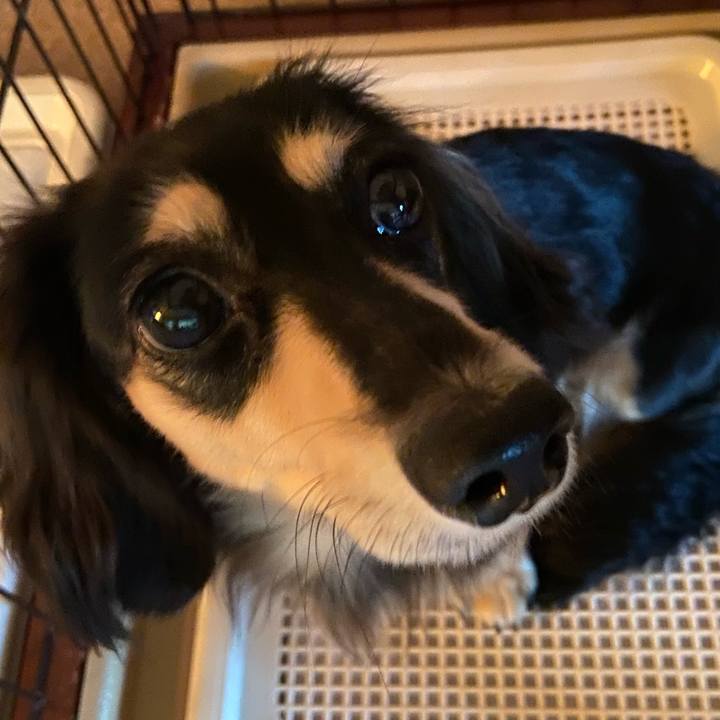 0d7c2f51 4c36 4880 ae07 473b68326181 1694992207941