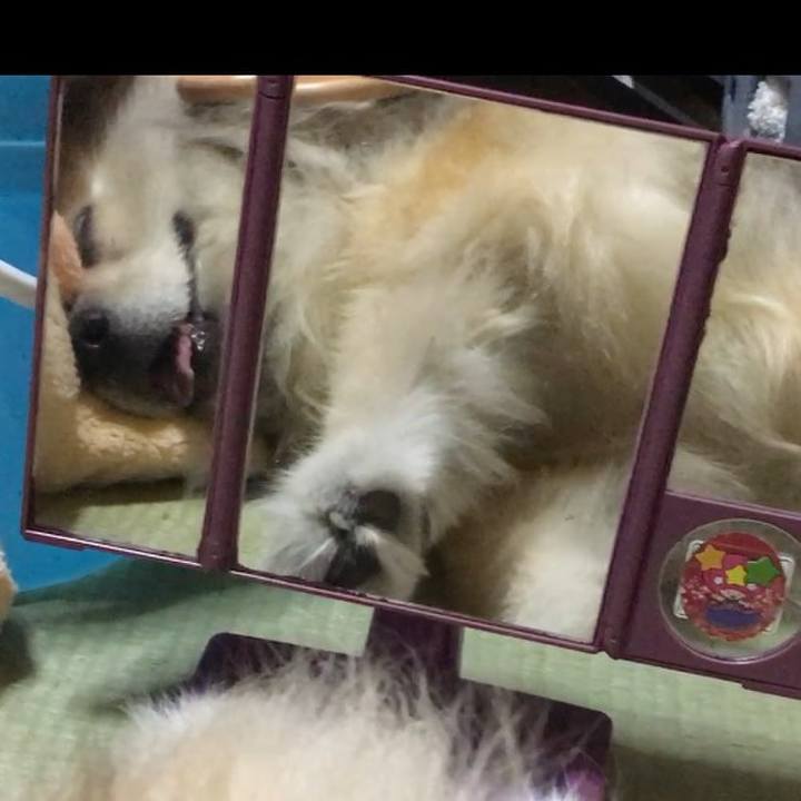 0d7c959a e207 4ffe bb71 3fab2a979458 1591647804876