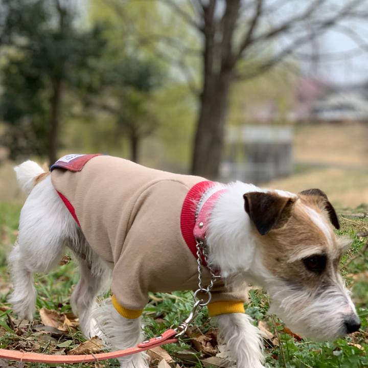 0d7cc681 2c99 4d7e 933a fd2d78b0df15 1615535611706