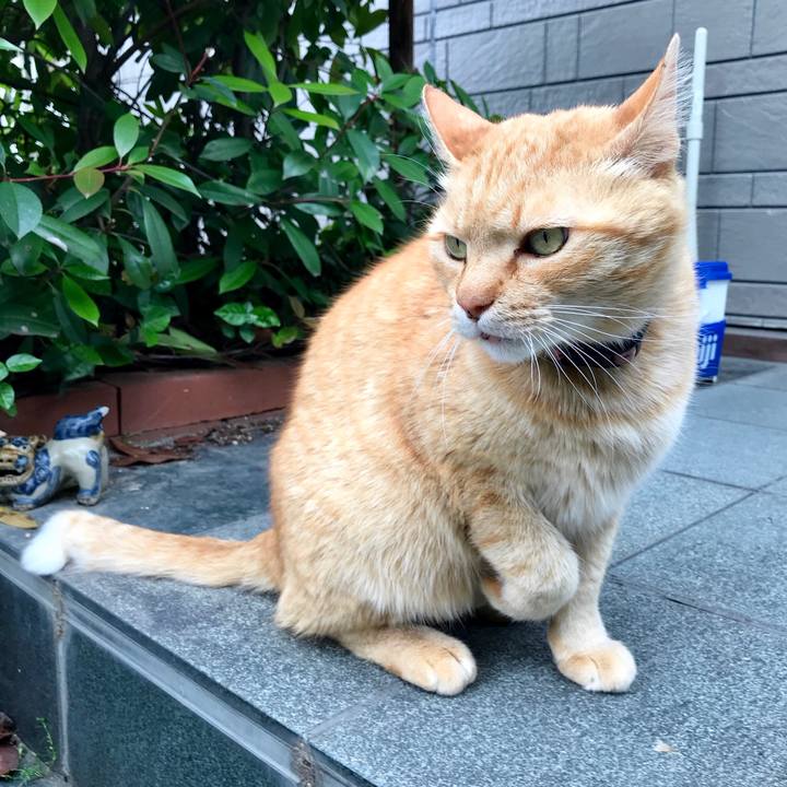 0d7cd2cb f639 4607 942d 5067dc2dff7e 1525865146865