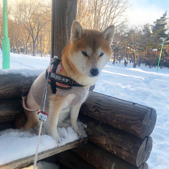 0d7d04eb 2f84 4cf0 af5e c0ab789245d8 1548994607522