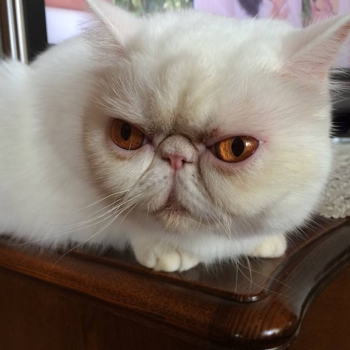 0d7d1005 263d 49c8 8b4e 49442e76b49a 1653128170409