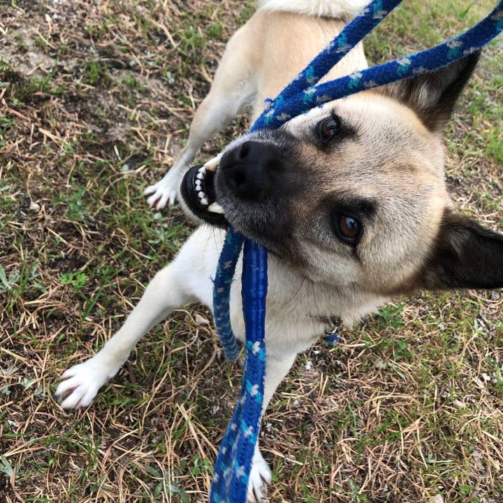 0d7d12a5 8f2b 4d9c b274 5445ae0c3cf8 1596801690397