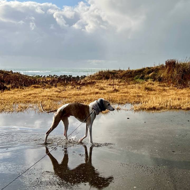 0d7d1df5 ea2b 4ddb a6b4 a70b5ea200c5 1768637882516