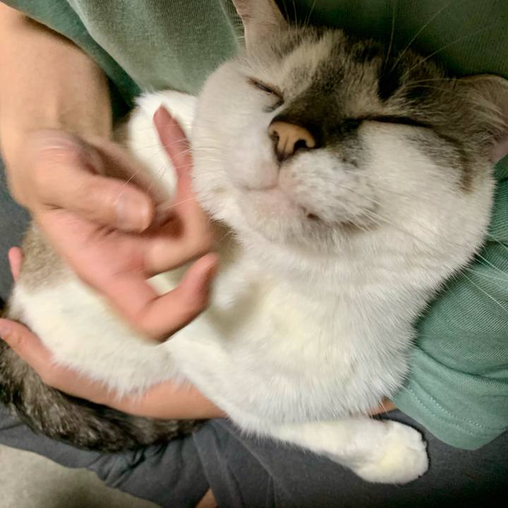 0d7d3086 48e9 4328 ba98 2fde69d88b0c 1618740570783