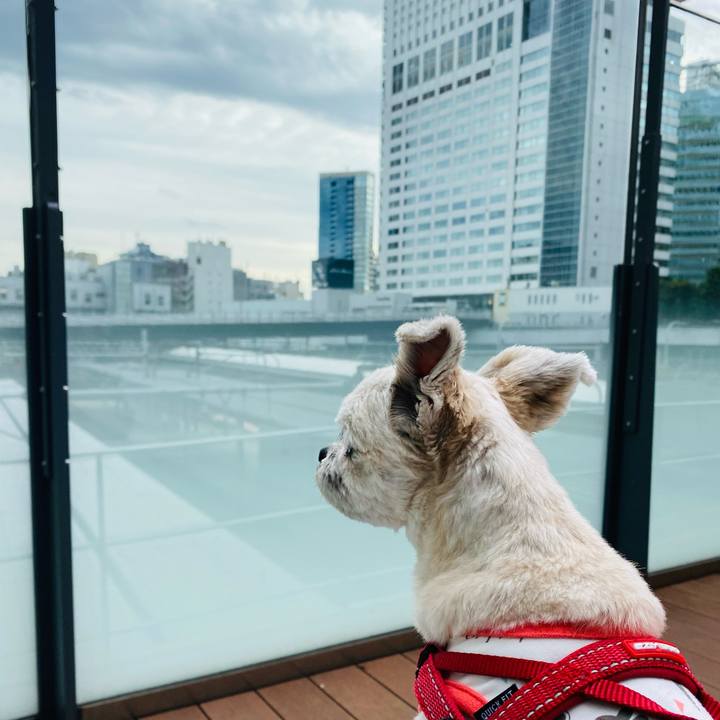 0d7d5a50 316c 4300 a7e1 c9438561df91 1634901709254