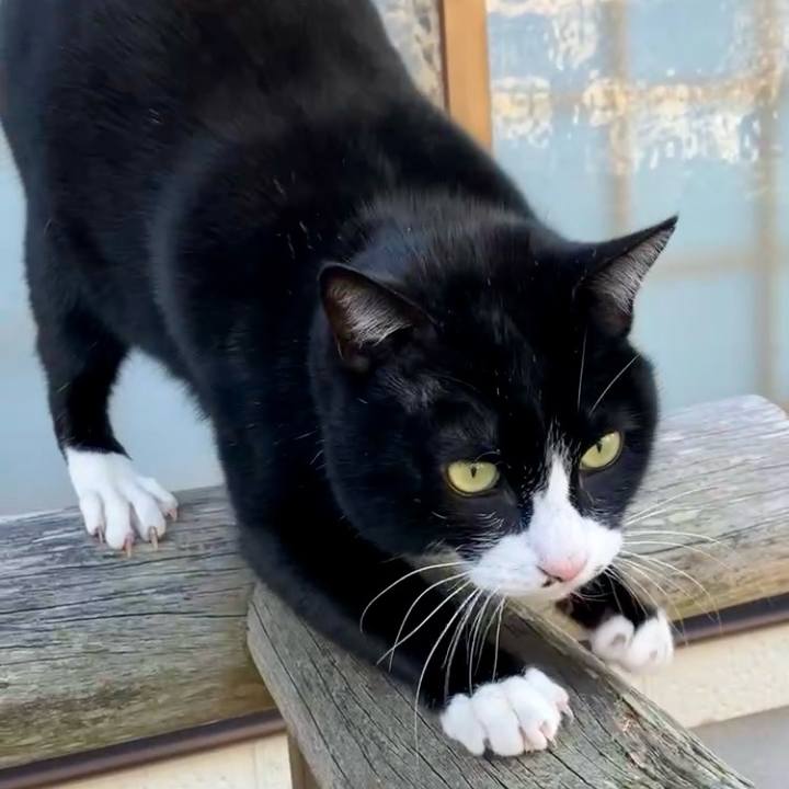 0d7d838e da72 4b74 bf3b a7b1fdbe799a 1740051926676