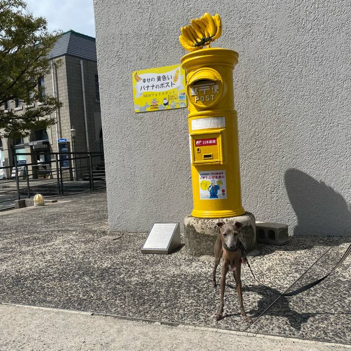 0d7d8700 3bbc 4a78 9419 9ce68278084b 1759021771956