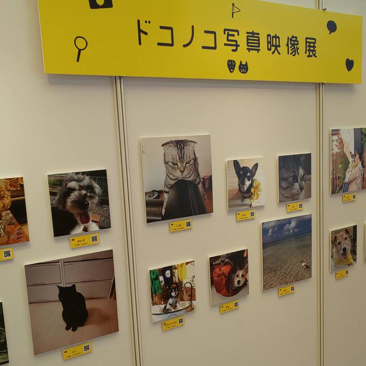 0d7dccbe f42c 41e0 a20d cc71d71be352 1558838624903