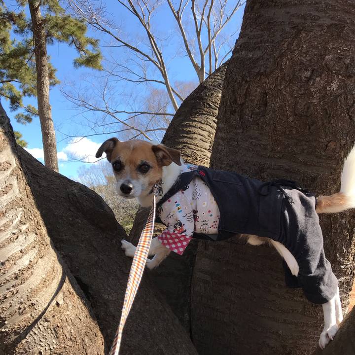 0d7ddcd6 148c 44a9 8fc4 53e931a0c3d1 1552026320163