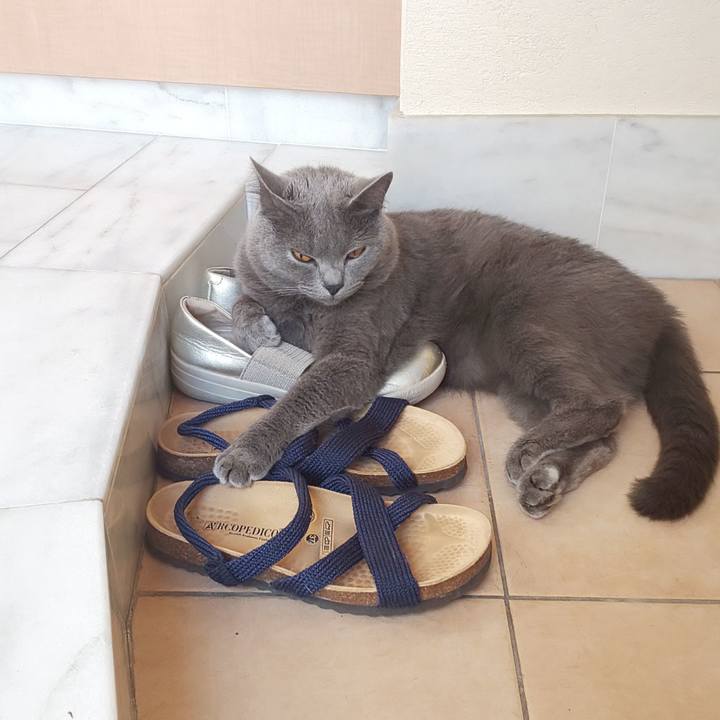 0d7e493b f819 4533 98e4 587162ab5936 1565047690790