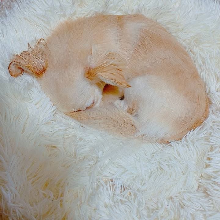 0d7e7d07 8109 4f57 bfa4 a875416b3a1c 1623748087452