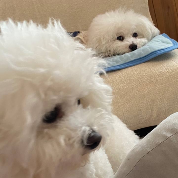 0d7e817f 8c74 4efa a558 e0a73dc4e7b4 1621837766850