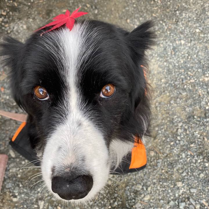 0d7e88a2 06b8 4f6a 9baf 0e1b7932e1db 1607907530998